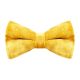 Gold Crushed Velvet Bow Tie