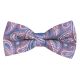 Blue with Red Paisley Bow Tie