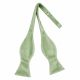 Pale Green Velvet Self-Tie Bow Tie