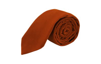 Amber Brown Velvet Tie