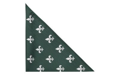 Dark Green Fleur De Lys Herringbone Pocket Square