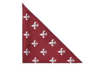 Burgundy Red Fleur De Lys Herringbone Pocket Square