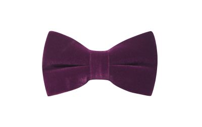 Aubergine Purple Velvet Bow Tie