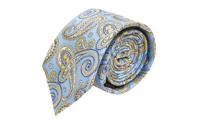 Blue with Gold Paisley Tie