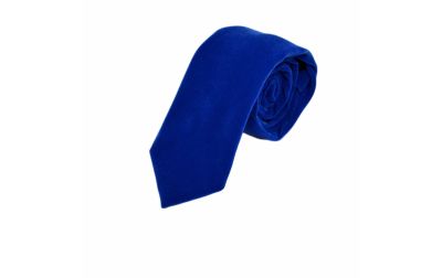 Royal Blue Velvet Tie