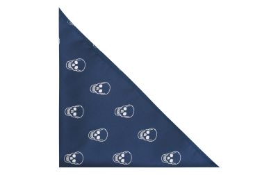 Navy Blue Skull Embroidered Pocket Square