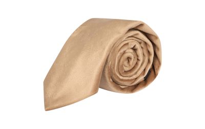 Taupe Brown Velvet Tie