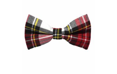 Boys Traditional White & Red Tartan Bow Tie